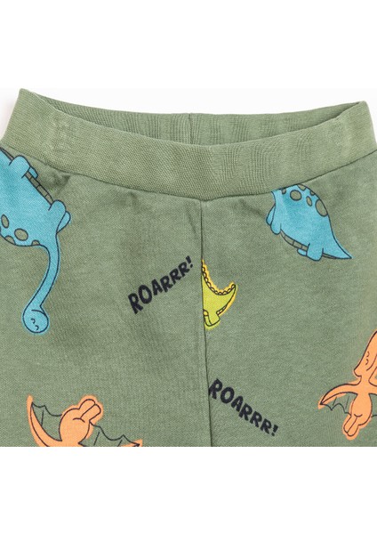 Basic Erkek Hayvan Desenli 2li Patiksiz Alt Erkek Bebek modelleri