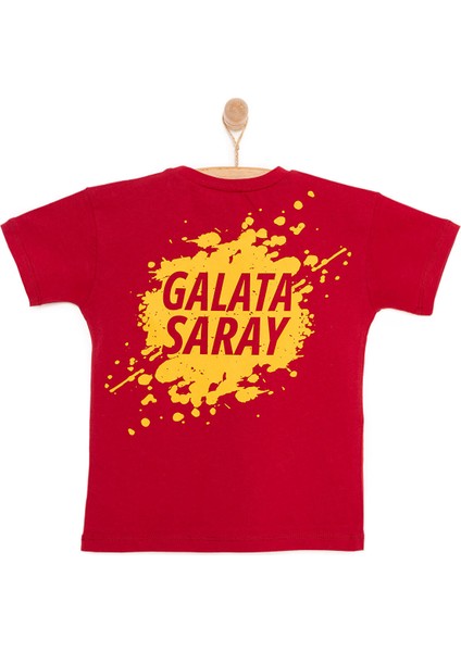 Erkek Tshirt Erkek Bebek fiyatları