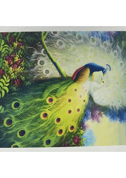 5d Yapışan Boncuk Goblen 30 x 40 cm Mozaik Tablo Pano 60143-3