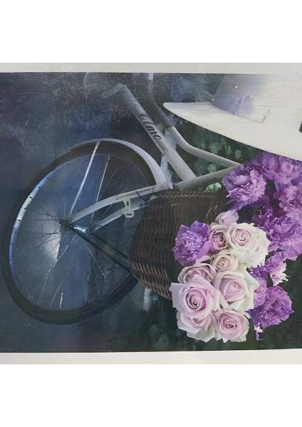 5d Yapışan Boncuk Goblen 30 x 40 cm Mozaik Tablo Pano 60511