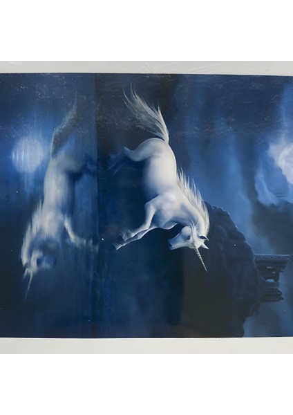 5d Yapışan Boncuk Goblen 30 x 40 cm Mozaik Tablo Pano 60651