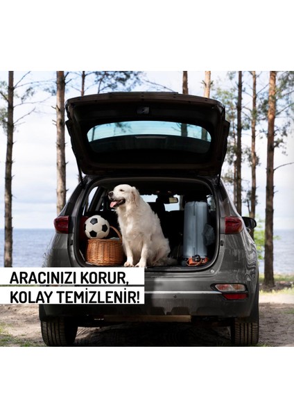 Renault Kangoo Combi (2024 ve Sonrası) Bagaj Havuzu (Bagaj Demir Setli)