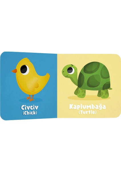 Mini Mini Kitaplar Serisi (6 Kitap)