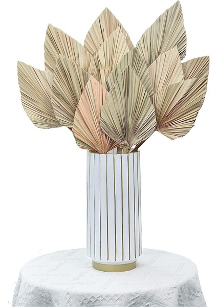12 Adet Doğal Kurutulmuş Palmiye Yaprakları Dekor Boho Kurutulmuş Yaprak Düğün Dekorasyonu Yatak Odası Mutfak Ofis 10X40CM (Yurt Dışından)