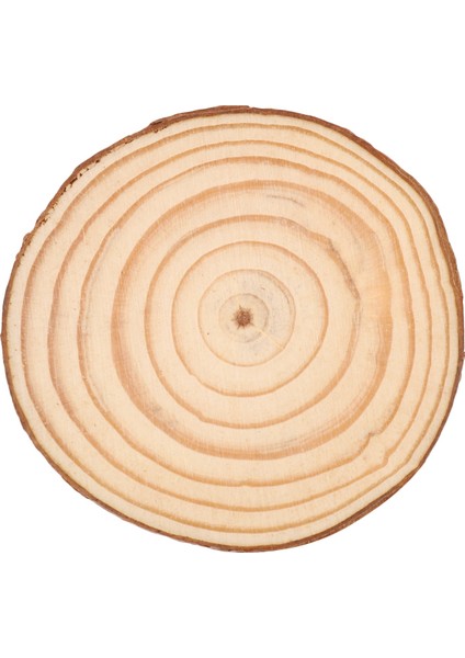 10 Adet Doğal Ağaç Yuvarlak Ahşap Kütük Dilim Düğün Centerpiece Kabuğu Masa Süsü (Yurt Dışından)