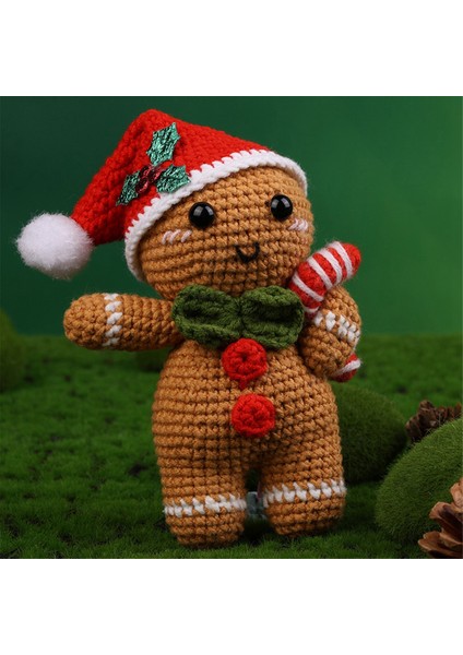 Yeni Başlayan Tığ Seti Etli Noel Serisi Tığ Işi Setleri, Talimatlı Öğreticilerle Video Öğreticileri Iplik Kancası Iğne (Yurt Dışından) indirimleri