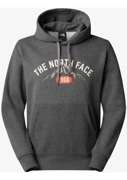 M Hoodie Varsity Graphic Erkek Sweatshirt NF0A89DJ-DYY