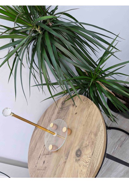 Ck Store Dekoratif Havluluk fiyatları