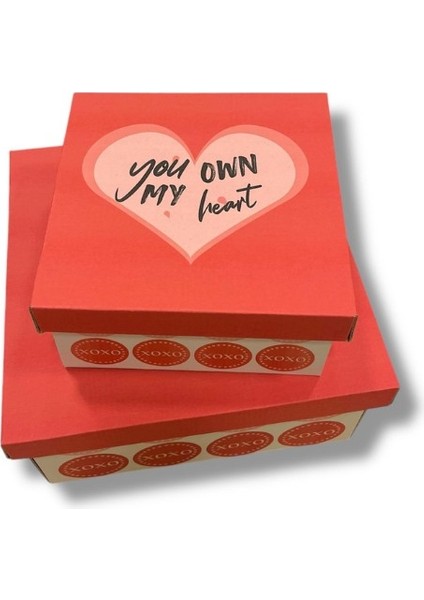 You Own My Heart Sevgililer Günü Hediye Kutusu 17X17X9CM 1 Adet