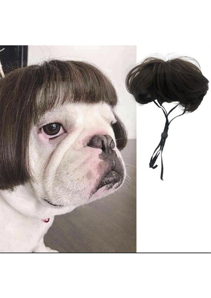 Küçük Orta Büyük Çiçekli Komik Köpek Peruk, Kesilebilir Evcil Hayvan Kostümü Kedi Cosplay Dekorasyonu (Yurt Dışından) fiyatları