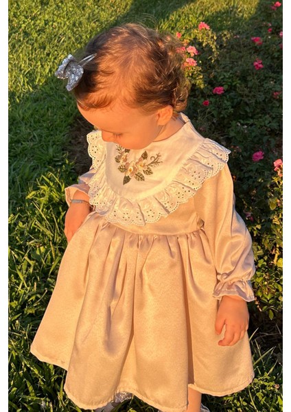 ALYRA Kız Çocuk Elbise Kız Bebek Uzun Kollu Çiçek Nakışlı Astarlı Kabarık Özel Gün Doğum Günü Parti Düğün Saten Elbise Bebek Giyim ALY0230 fiyatları