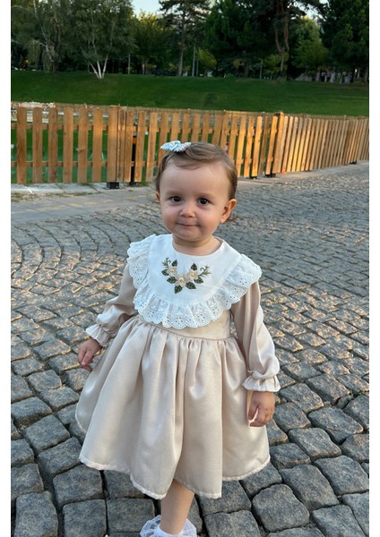 ALYRA Kız Çocuk Elbise Kız Bebek Uzun Kollu Çiçek Nakışlı Astarlı Kabarık Özel Gün Doğum Günü Parti Düğün Saten Elbise Bebek Giyim ALY0230 fırsatları