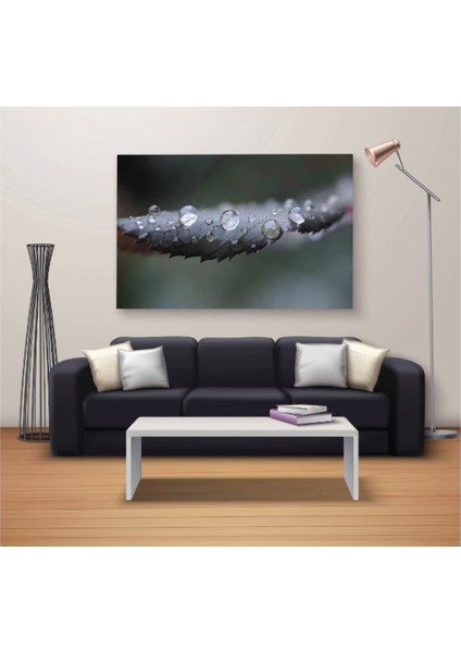 Dekoratif Baskı Özel Tasarım Kanvas Tablo 1365