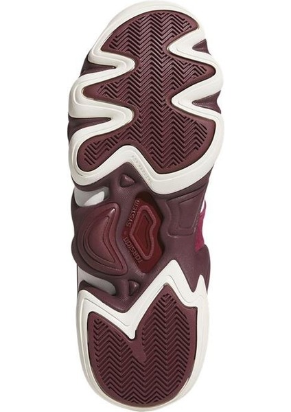 Erkek Bordo Basketbol Ayakkabısı CRAZY 8 JI0331
