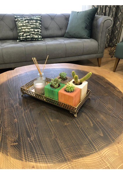 Doğal Ahşap Küp Kaktüs Saksısı fiyatları