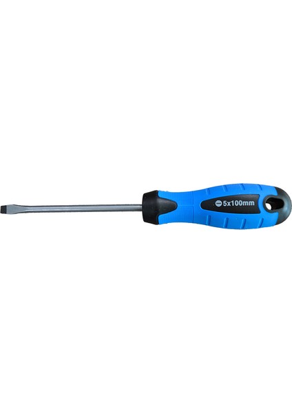 Tornavida Düz 5X100