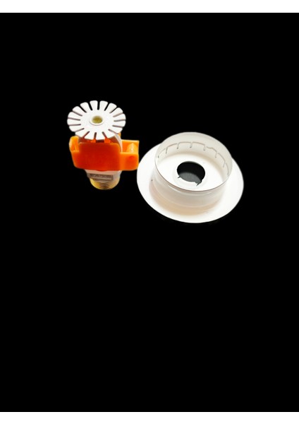 1/2" Yangın Sprink + 1/2" Sprink Rozeti 68°C 10 LU