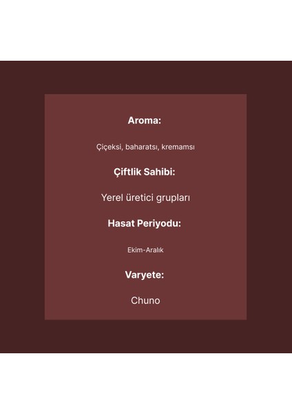 Nikaragua Ingemann Chuno Kavrulmuş Kakao Çekirdeği 100G
