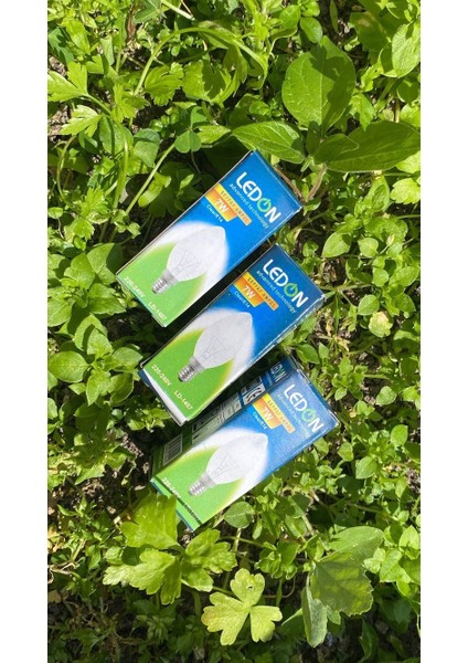 Tuz Lambası Ampulü