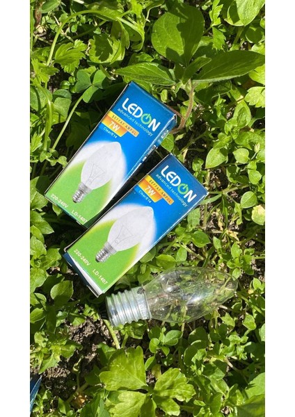 Tuz Lambası Ampulü fiyatları