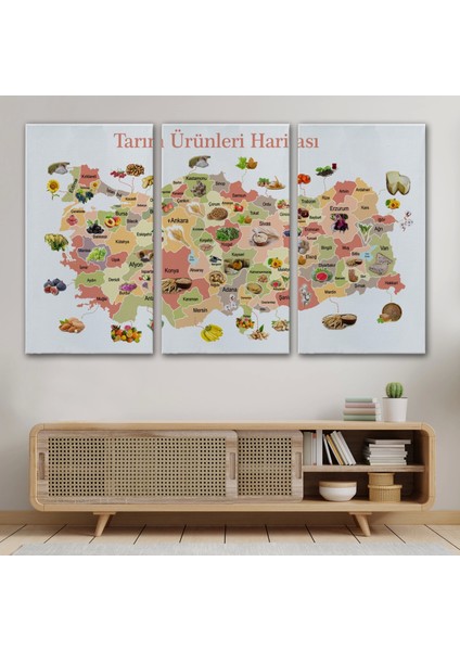 - Tarım Ürünleri Yerli Malı Haftası Türkiye Haritası 1046 modelleri