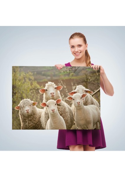 - Koyun Kuzu Dekoratif Kanvas Tablo 1119 fırsatları