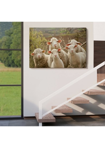 - Koyun Kuzu Dekoratif Kanvas Tablo 1119 indirimleri