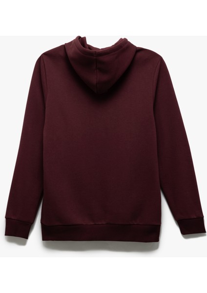 Reglan Kollu Pamuk Karışımlı Dikiş Detaylı Basic Kapşonlu Sweatshirt