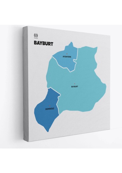- Bayburt Ili ve Ilçeler Haritası Dekoratif Kanvas Tablo 1290 fiyatları
