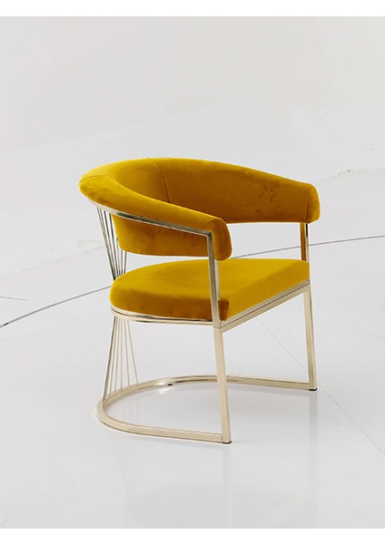 Rio Çay Seti Tekli Koltuk Sandalye Berjer Oturma Odası Kafe Antre Hol Ofis Gold Metal