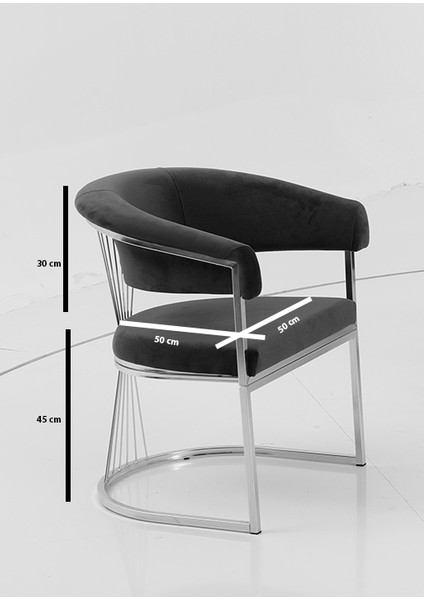 Rio Çay Seti Tekli Koltuk Sandalye Berjer Oturma Odası Kafe Antre Hol Ofis Gold Metal fiyatları