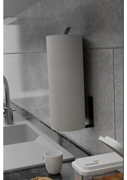 Duvar Tipi Kağıt Havluluk - Paslanmaz Çelik, Şık ve Pratik Kağıt Havlu Askısı | Mutfak & Banyo Kullanımı fiyatları