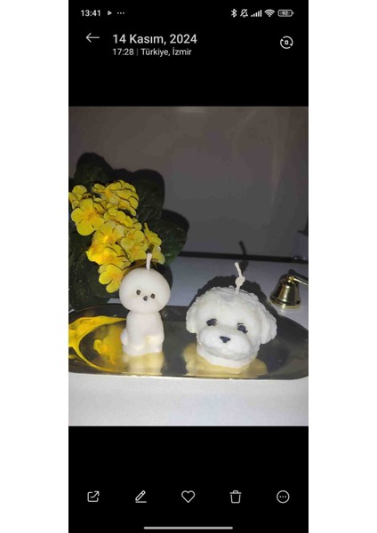 Köpek Set Mum