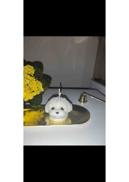 Köpek Set Mum
