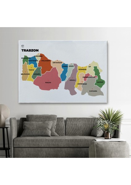 - Trabzon Ili ve Ilçeler Haritası Dekoratif Kanvas Tablo 1470
