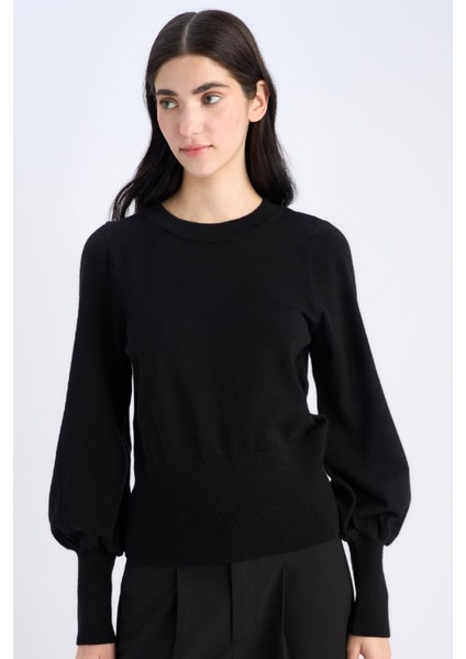 Regular Fit Bisiklet Yaka Basic Düz Triko Kazak F0542AX24CW