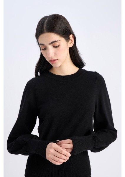 Regular Fit Bisiklet Yaka Basic Düz Triko Kazak F0542AX24CW modelleri