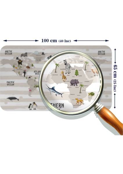 - Eğitici Dünya Haritası Dünya Atlası Çocuk ve Bebek Odası Duvar STICKER -60X105-3803