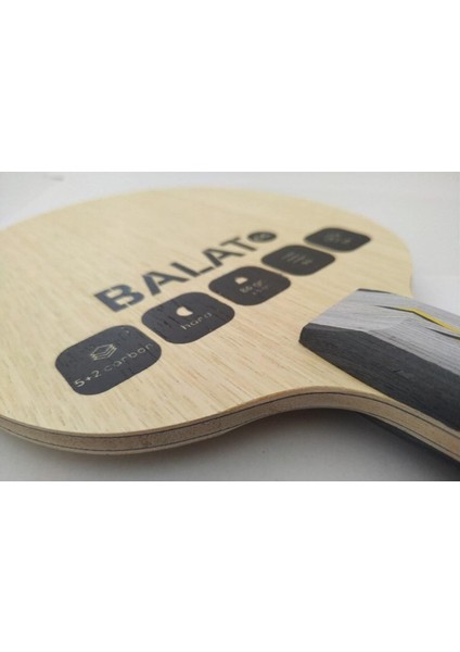 Balat cc Masa Tenis Tahtası fiyatları