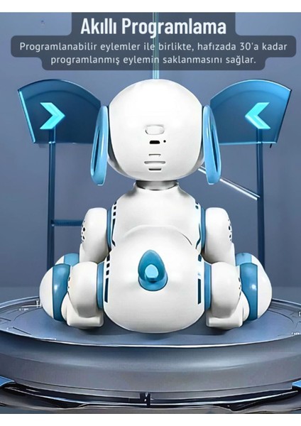 Uzaktan Kumandalı Çok Fonksiyonlı Akllı Aktivite & Eğlence Robot Köpek