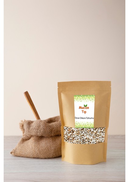 Aspir Tohumu 1000 G.