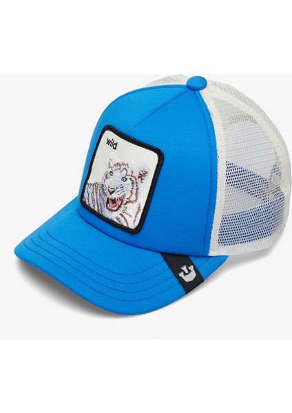 201-2055 Wild Stripes.blue