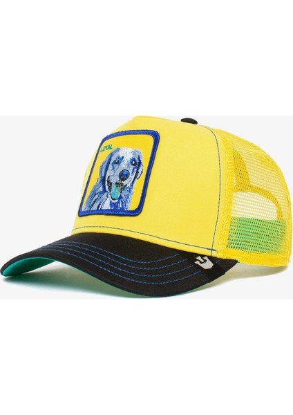 Doggy Trip.yellow