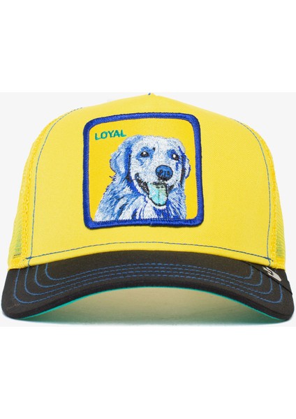 Doggy Trip.yellow fiyatları