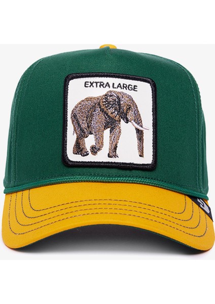 Extra Large 100.GREEN
