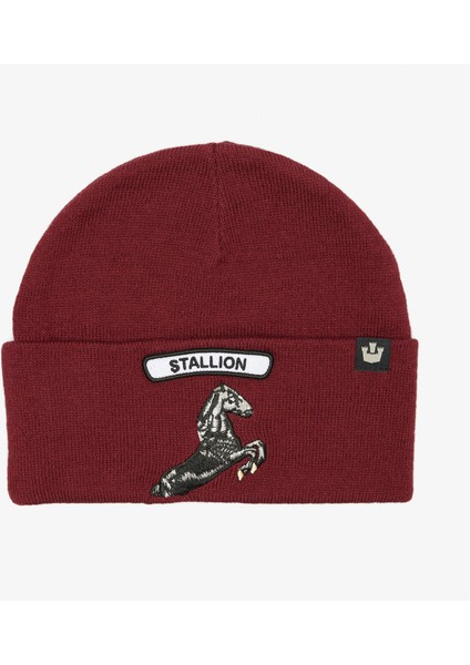 107-1801 Soft Rock Stallion.burgundy