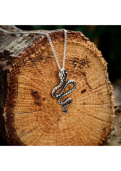 Gümüş Mini Yılan Kolye 925 Ayar Gümüş Küçük Yılan Figürlü Unisex Kolye