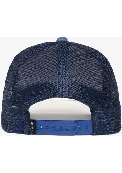 Big Bear Truckin.blue modelleri