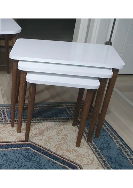 Ahşap Ayak Kr Zigon Sehpa