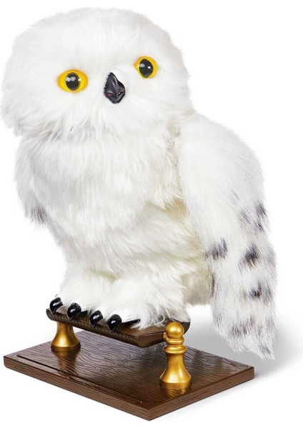 Büyüleyici Hedwig Seni Bekliyor! Harry Potter Hayranları Için Özel